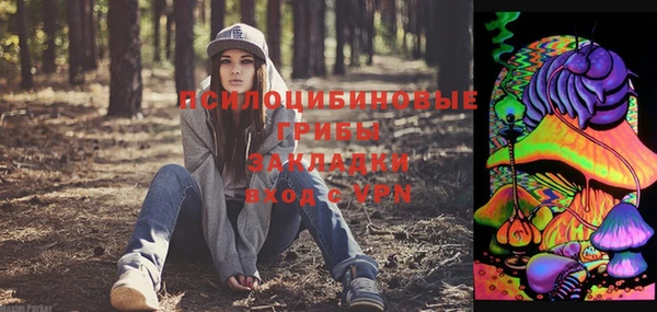прущие грибы Володарск