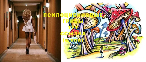 прущие грибы Володарск