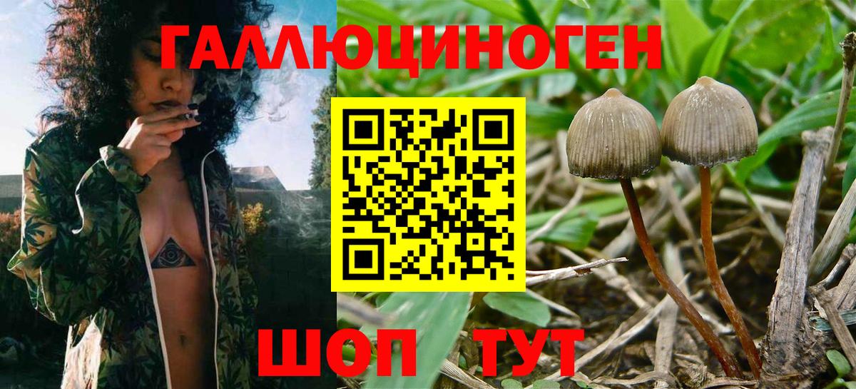 Галлюциногенные грибы GOLDEN TEACHER  Вход с VPN  Ноябрьск  Галлюциногенные грибы мухоморы 