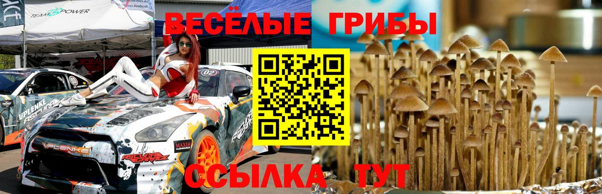 Псилоцибиновые грибы мицелий Ноябрьск