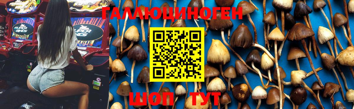 ЭКСТАЗИ  Каннабис  Канабис  НБОМе  Ноябрьск  МЕФ   КОКАИН  ГАШ  Вход с VPN 