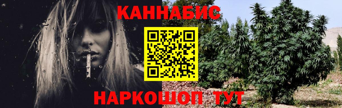 Ноябрьск  Марихуана гибрид  Марихуана сатива  Бошки марихуана планчик  Вход с VPN 